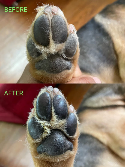Dog Grooming Dogs Pads Are Rough And Dry Muddy Paws Paws After